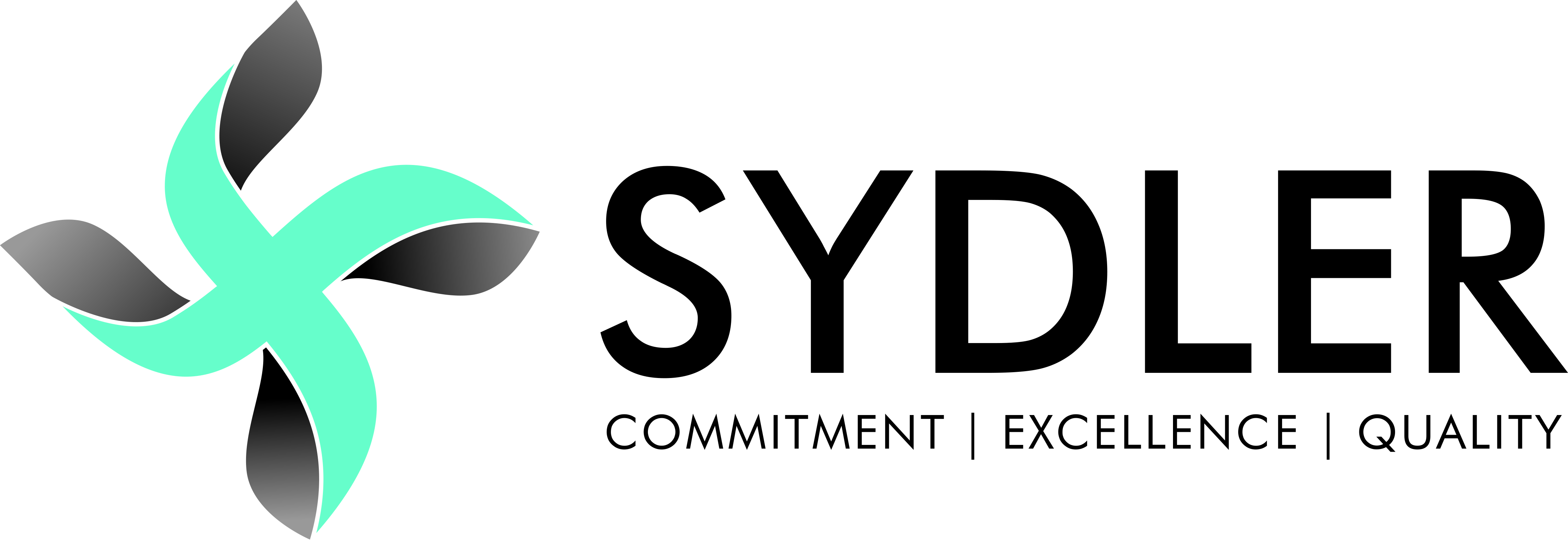 About Sydler Remedies Pvt Ltd.